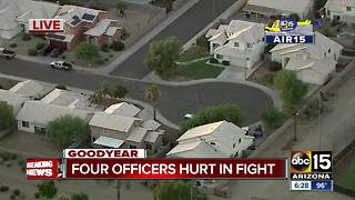Goodyear officers hurt after family-fight breaks out