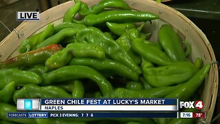 Green Chile Fest at Lucky's Market - 7am live report