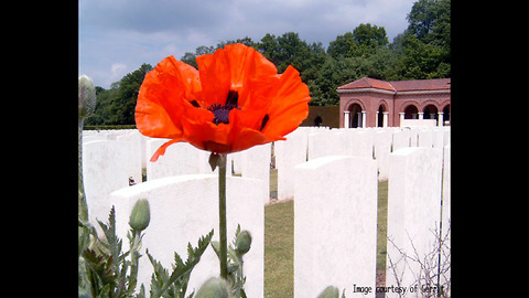 10 Remarkable Facts About World War One