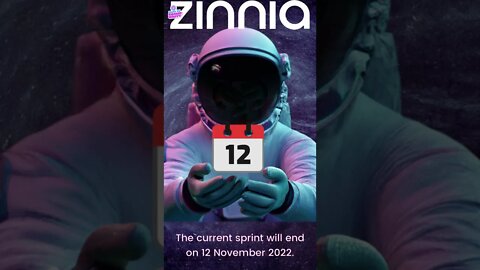 Zinnia Network Sprint 1