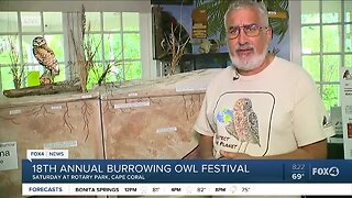 18th Annual Burrowing Owl Festival in Cape Coral