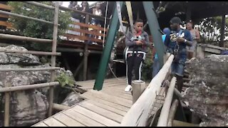 SOUTH AFRICA - Mpumalanga - The Wild Gorge swing at Oribi Gorge (Videos) (wRS)