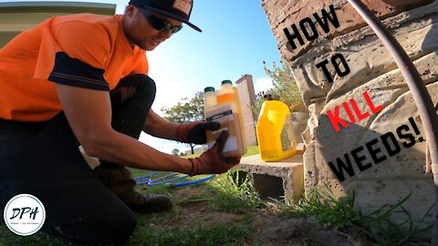 HOW TO KILL WEEDS IN LAWN // THE QUICK AND EASY WAY !