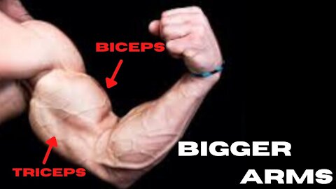 BICEPS and TRICEPS Workout for "Bigger Arms"