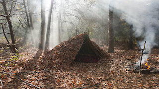 Debris Hut Shelter Build and Bushcraft Camping Solo Overnight in Survival Fortnite Mushroom Foraging
