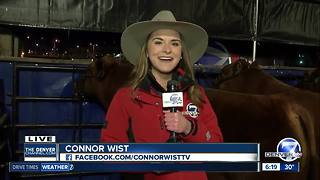 National Western Stock Show preparations