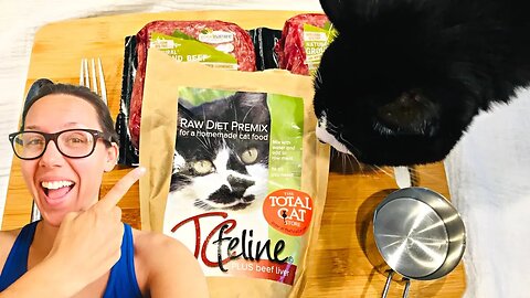 Making homemade cat food with TC FELINE for 4 cats