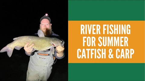 River Fishing For Summer Catfish & Carp / Grand River Catfish Fishing / Bank Fishing At Night