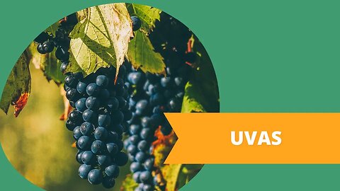 UVAS BRASILEIRAS: SABOR, SAÚDE E RECEITAS INCRÍVEIS