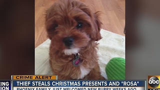 Familyâs Christmas gifts, puppy stolen from home