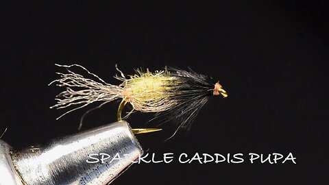 Sparkle Caddis Pupa Fly Tying Video - Tied By Charlie Craven
