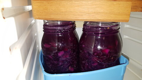 Red cabbage Christmas Sauerkraut. About the vaccine studies. Powergrid expert to the EU parliament