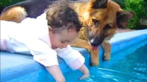 🤩 Baby Playing with German Shepherd Dog 👶🐶 Dog and Baby are Best Friends 🥳