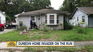 Woman shot during home invasion in Dunedin