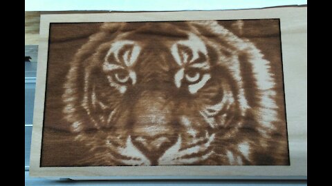 Laser engraving tiger face