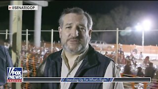 Ted Cruz details 'caravans of illegal immigrants' at southern border