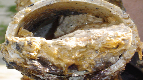 Beware The Massive 'Fatbergs' That Lurk Beneath Our Streets