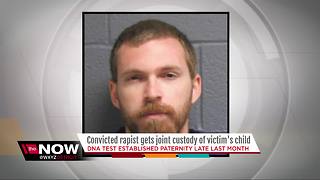 Convicted rapist gets joint custody of victim's child