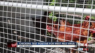 Chickens test positive for West Nile virus in Lee County