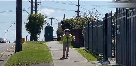 Funny video of a bird chasing someone down the street