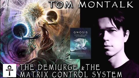 The Demiurge And The Matrix Control System