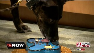 Sarpy County Sheriff's Office K-9 retires