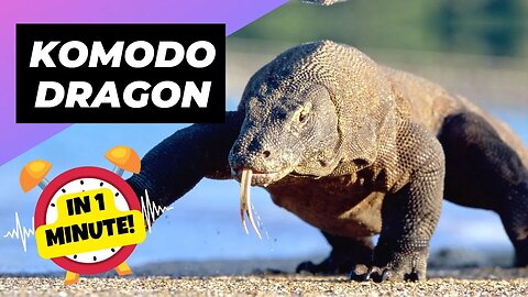 Komodo Dragon - In 1 Minute! 💔 The Dark Side of Motherhood! | 1 Minute Animal