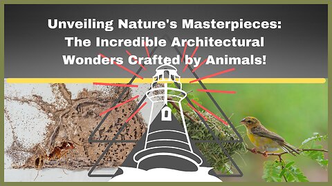 Nature's Master Builders: Amazing Animal Architects You Won't Believe! 😧🐾