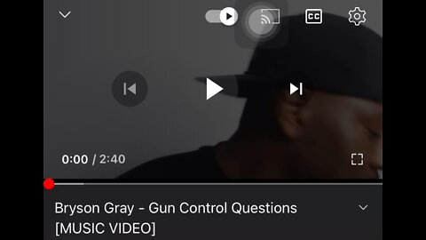 Bryson gray gun control questions