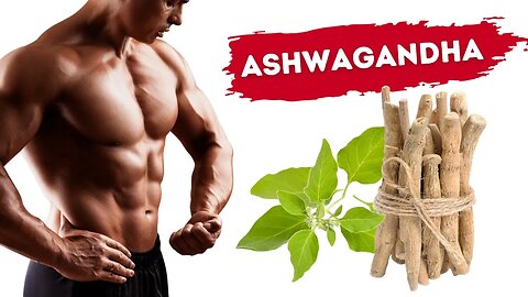 Ashwagandha: The Game-Changing Supplement for Men!