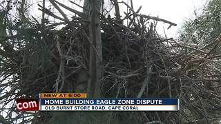 Home building eagle zone dispute