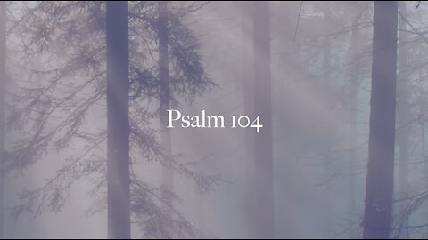 Psalm 104 - A Musical Accompaniment