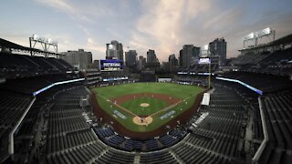 MLB Sues Insurance Providers Over COVID Losses