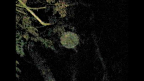 UFO Activity over the Backyard and Cool Orbs & Spirits