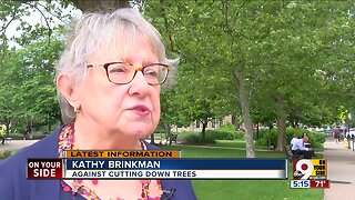 Resident fights corporate giant to save trees at Lytle Park