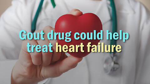 Gout drug could help treat heart failure
