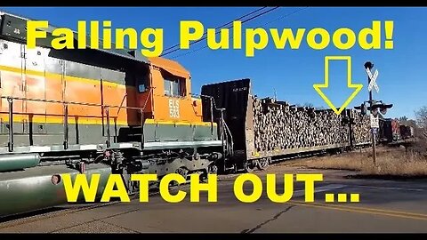 Pulpwood Hangs Off This Freight Train, Keeps You On Your Toes! #trains #trainvideo | Jason Asselin