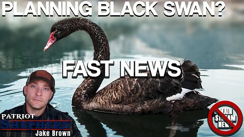 Are they planning a Black Swan event?