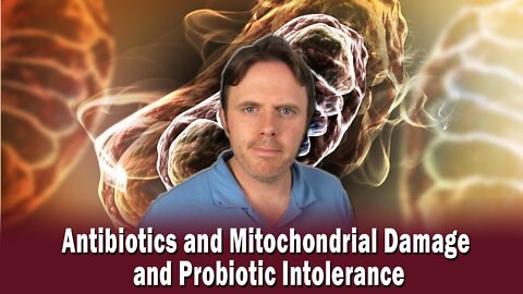 Antibiotics and Mitochondrial Damage and Probiotic Intolerance