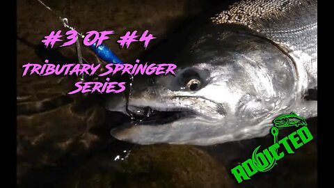"How-To" | Rig and Fish with Spinners for Spring Chinook Salmon