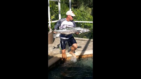 First Kingfish of 2020