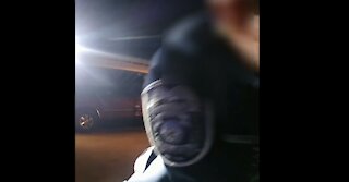 NLVPD: 2nd clip of body-camera footage of arrest