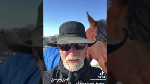 REAL CDN COWBOY Severely Injured Horse Rescue PT.3