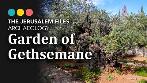 Where to camp in first century Jerusalem, The Jerusalem Files: Garden of Gethsemane