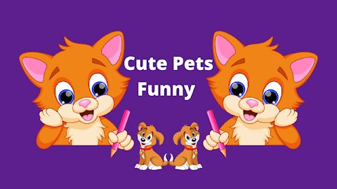 Animals Cute Pets Funny