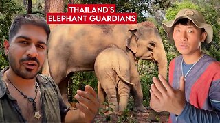 Thailand's Elephant Guardians 🇹🇭 - Inside life of Karen Hill Tribe