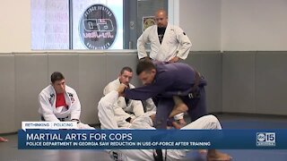 How one police agency used martial arts to reduce use-of-force injuries