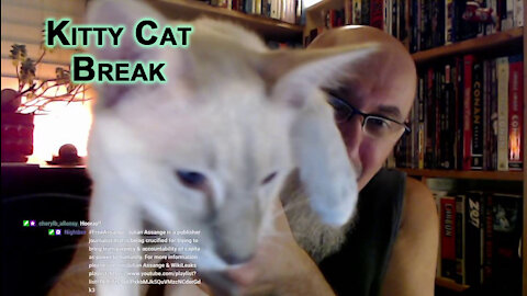 Kitty Cat Break: Veeya Coming in for Some Loving