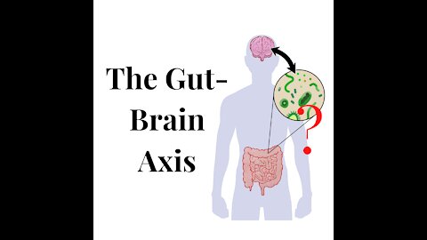 Understanding your Gut-Brain Axis