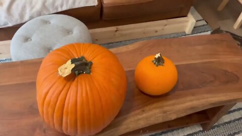 Gort Carves His First Pumpkin-5